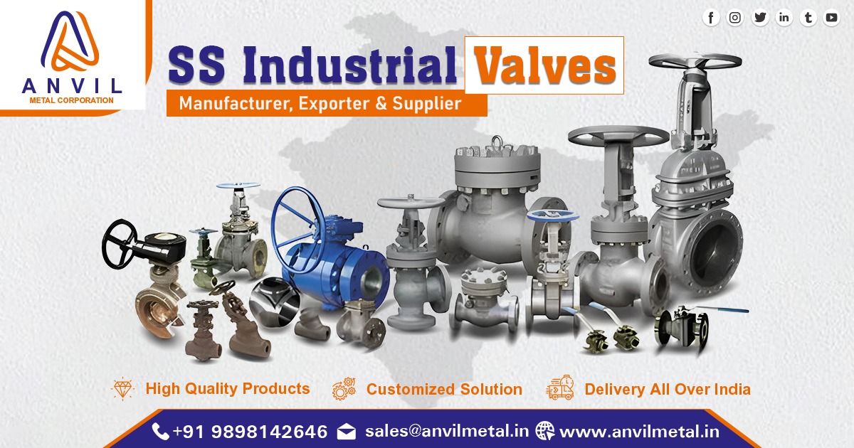 SS Industrial Valves Supplier in India